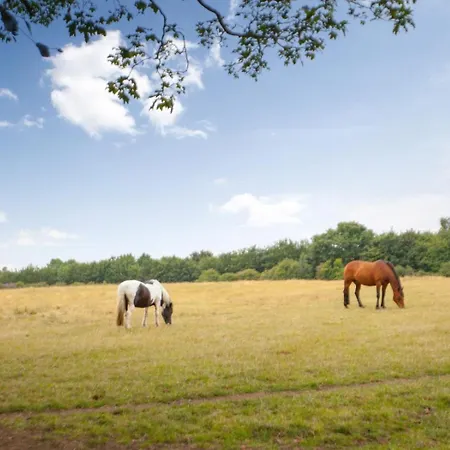 Tatil Evi 1 Bed In Oc-82843 *
